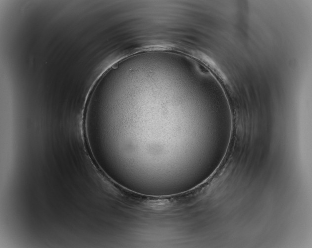 X0000094821186200711161521