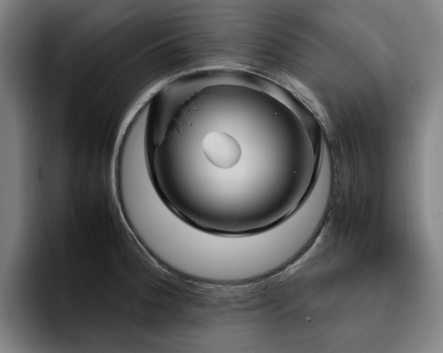 X0000094821188200711161521