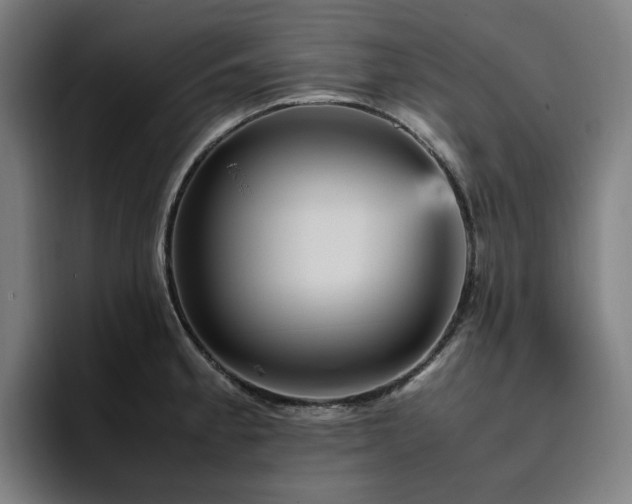 X0000094821189200711161521