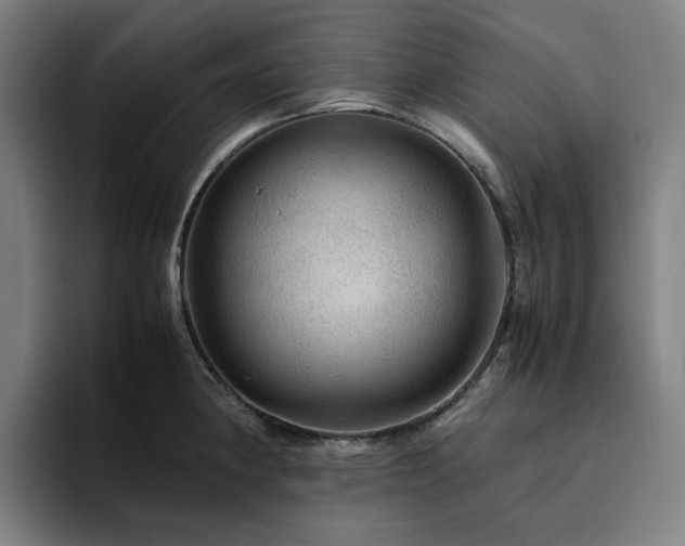 X0000094821190200711161521
