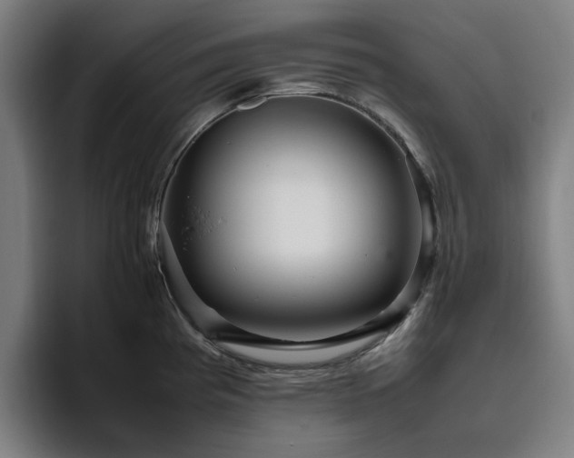 X0000094821193200711161521