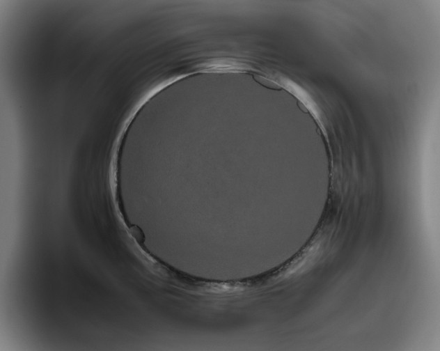 X0000094821195200711161521
