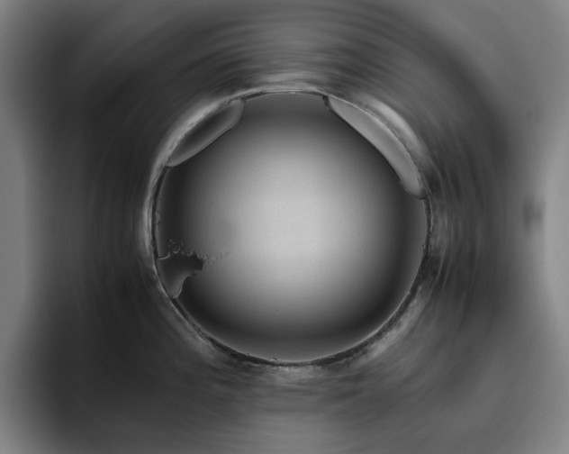 X0000094821196200711161521