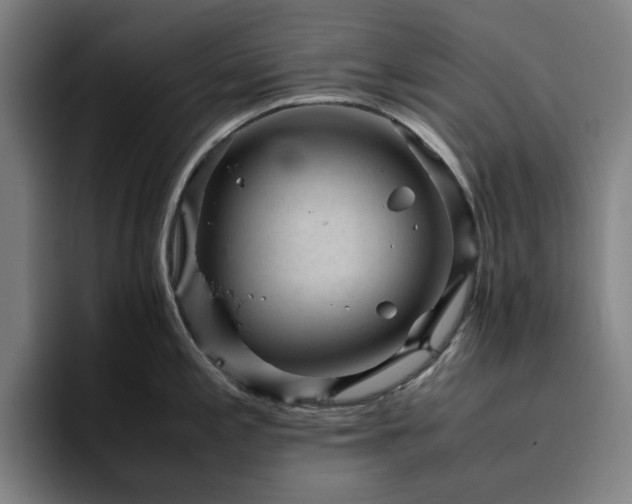 X0000094821197200711161521