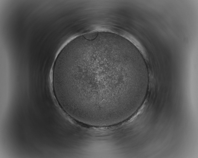 X0000094821198200711161521