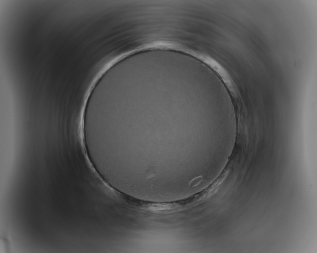 X0000094821199200711161521