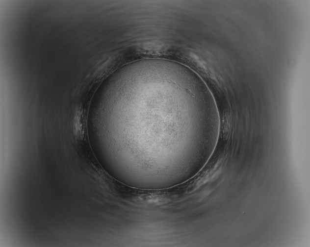 X0000094821202200711161521