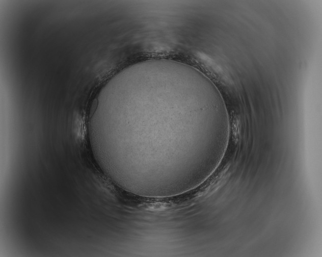 X0000094821204200711161521