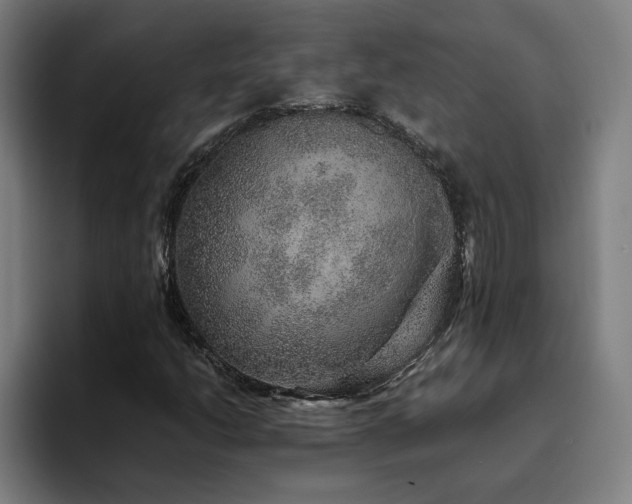 X0000094821206200711161521