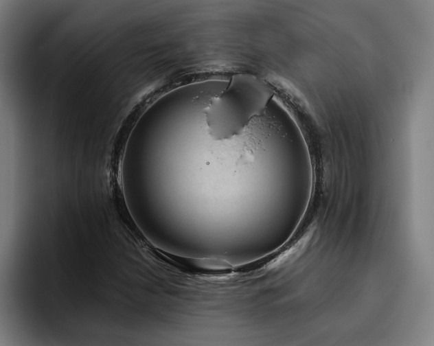 X0000094821210200711161521