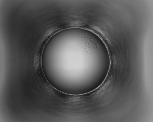 X0000094821211200711161521