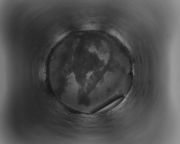 X0000094821213200711161521