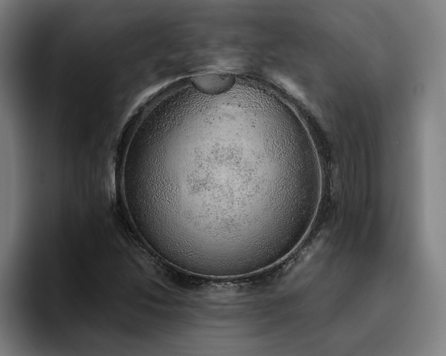 X0000094821214200711161521