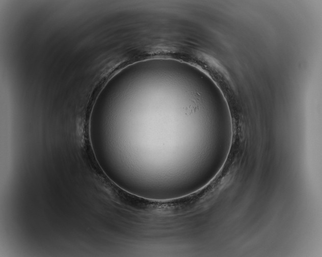 X0000094821217200711161521