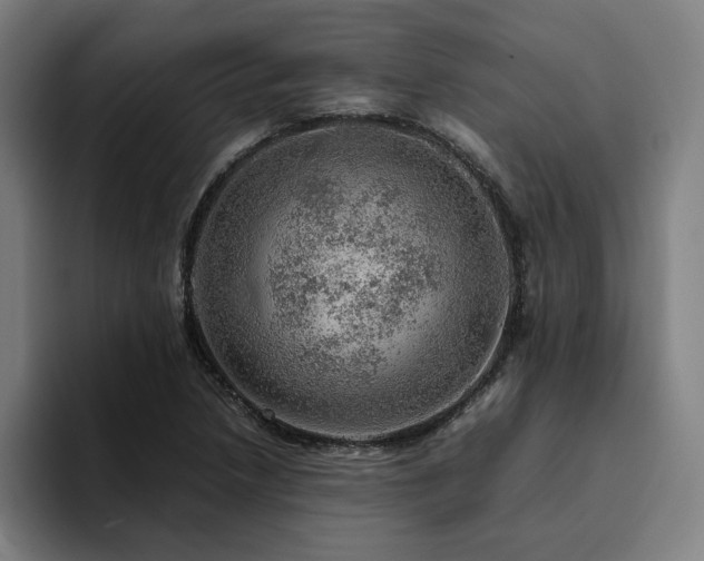 X0000094821218200711161521