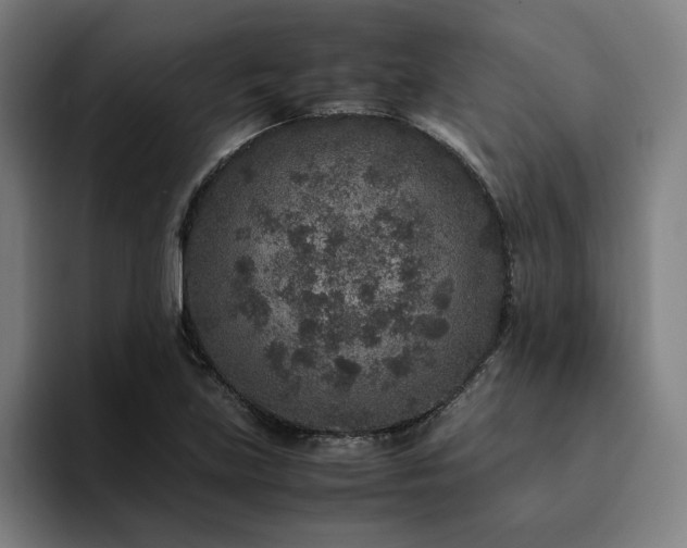 X0000094821219200711161521