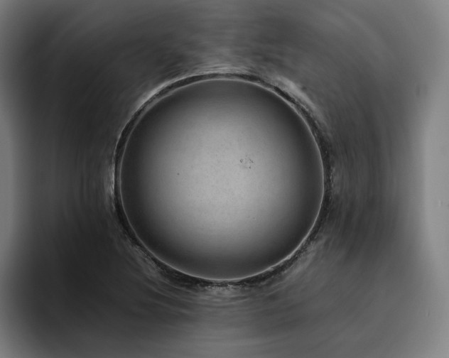X0000094821220200711161521