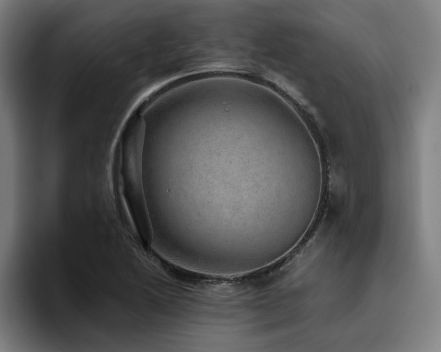 X0000094821222200711161521