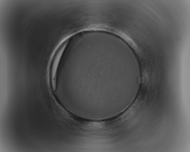 X0000094821224200711161521