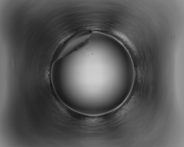 X0000094821225200711161521