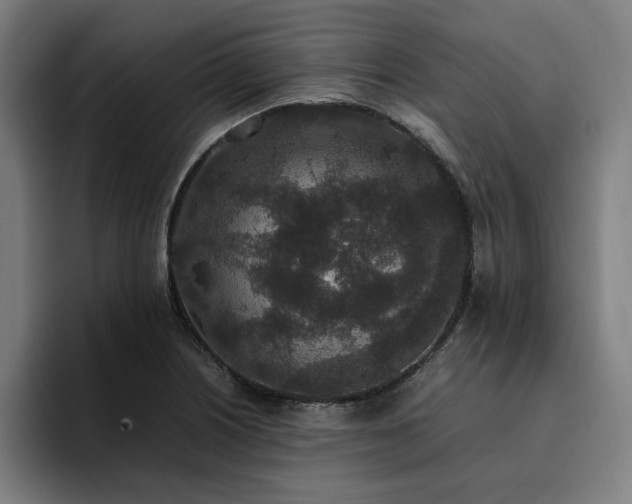 X0000094821226200711161521