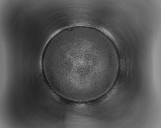 X0000094821230200711161521