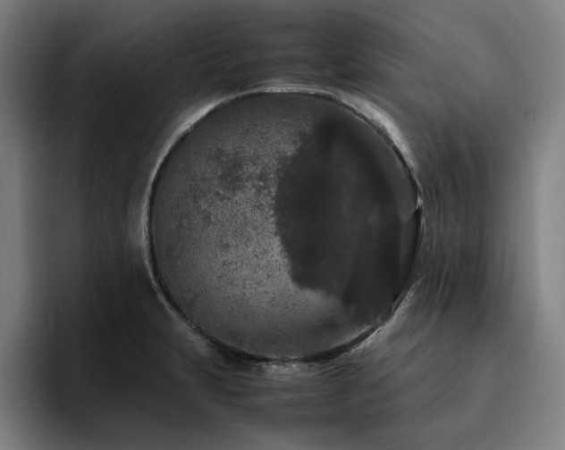 X0000094821231200711161521