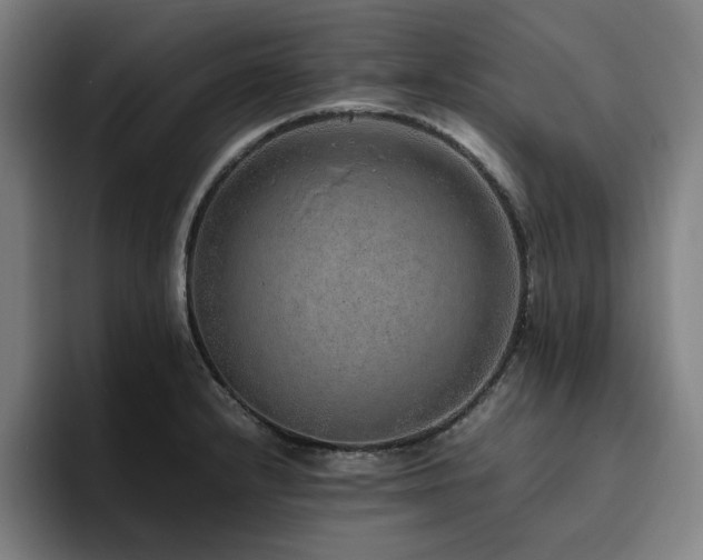 X0000094821232200711161521