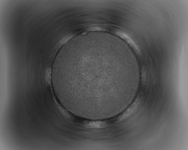 X0000094821233200711161521