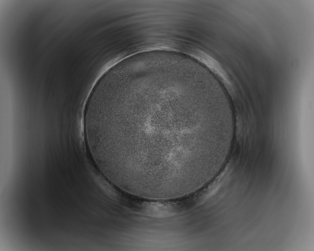 X0000094821234200711161521