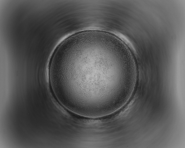 X0000094821238200711161521