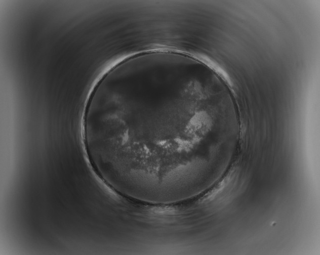 X0000094821239200711161521
