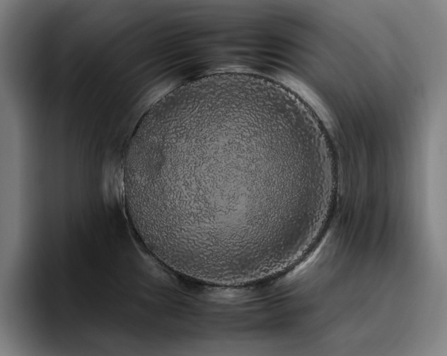 X0000094821241200711161521