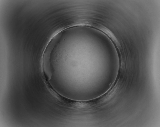 X0000094821242200711161521