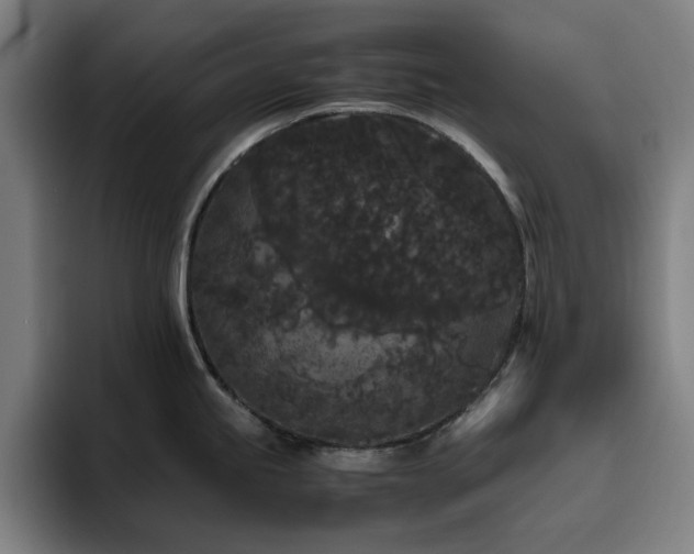 X0000094821245200711161521