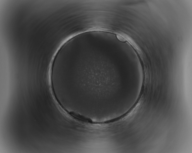 X0000094821246200711161521