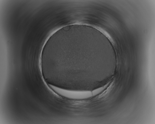 X0000094821247200711161521