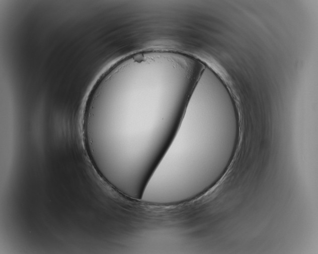 X0000094821248200711161521