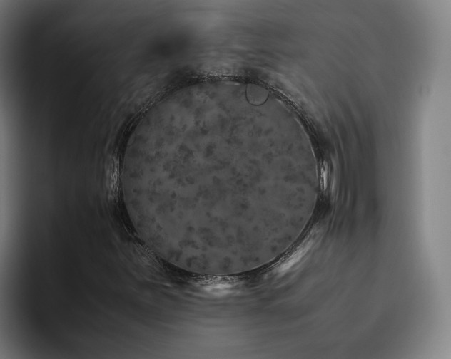 X0000094821251200711161521