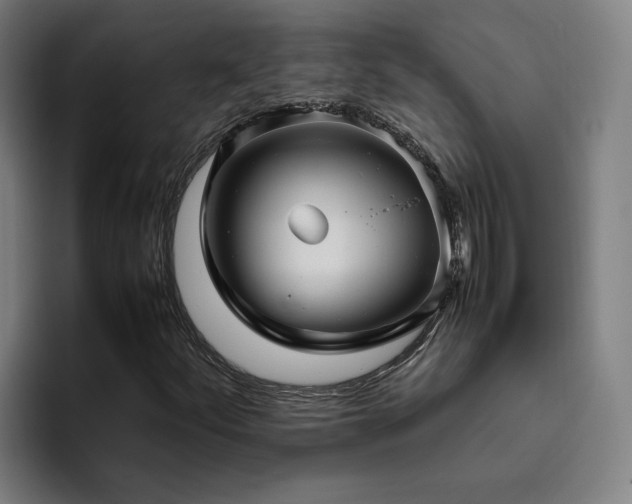 X0000094821252200711161521