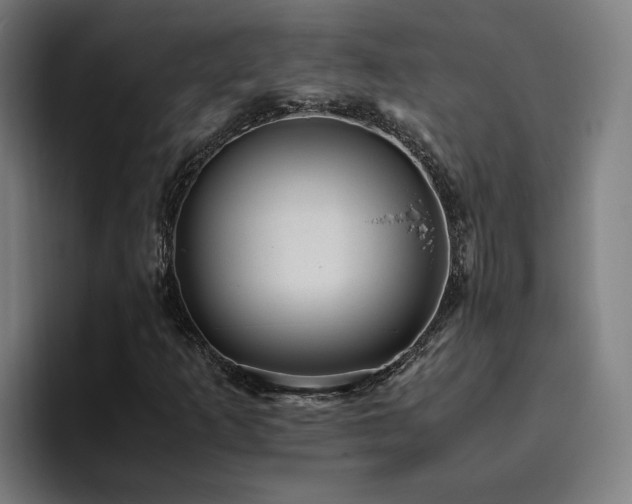 X0000094821253200711161521