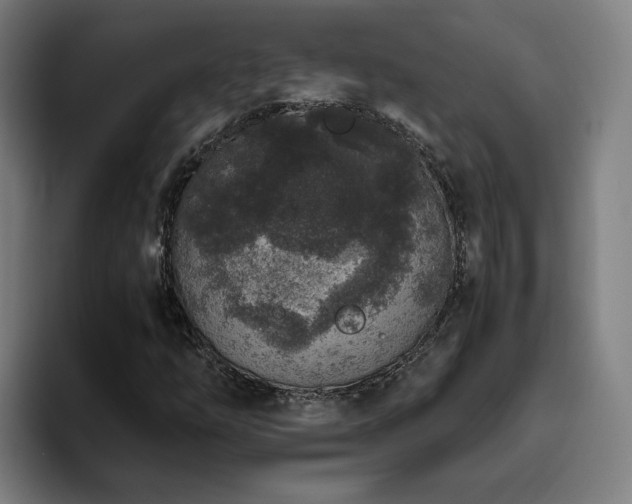X0000094821254200711161521