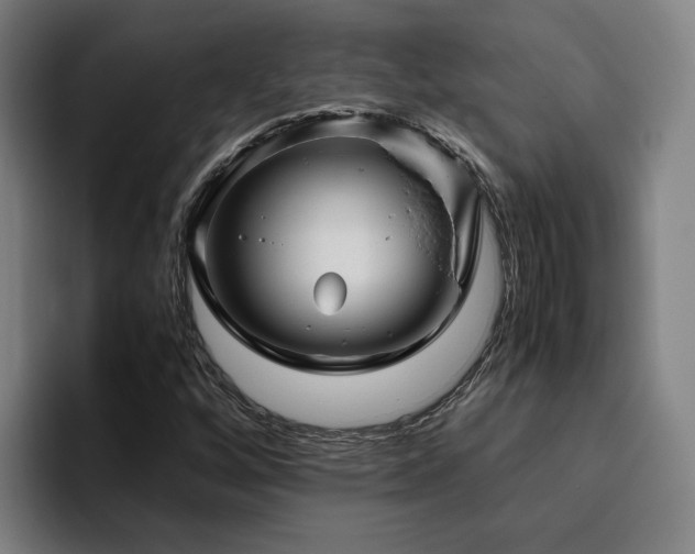 X0000094821256200711161521