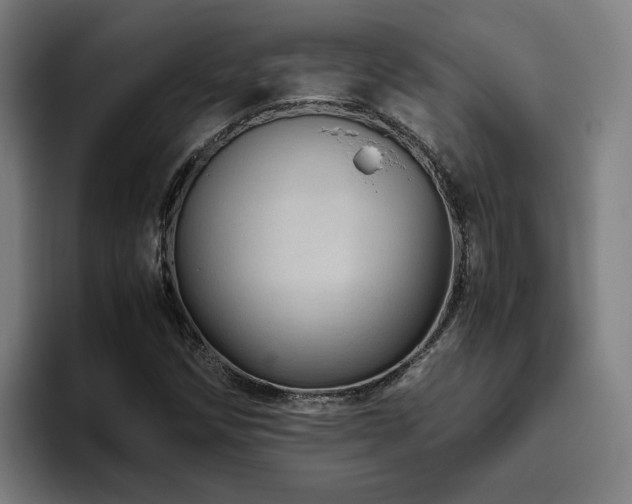 X0000094821258200711161521