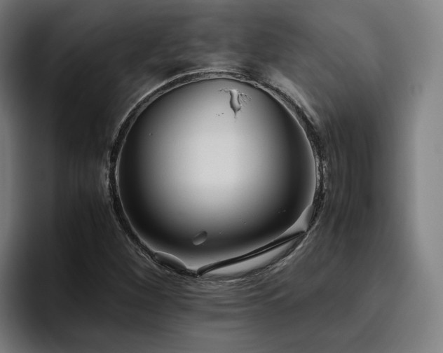 X0000094821260200711161521