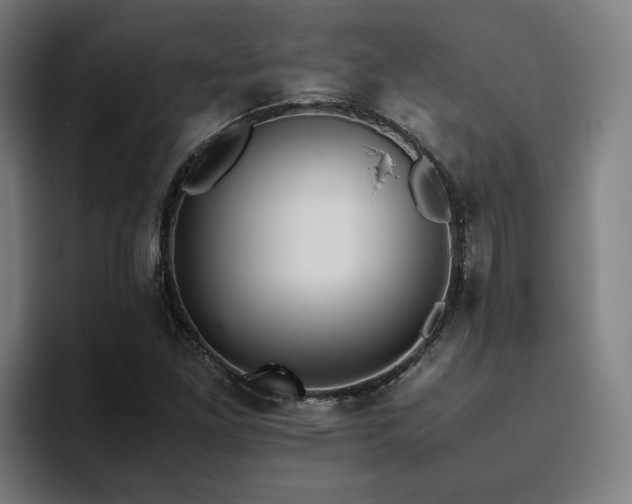 X0000094821261200711161520