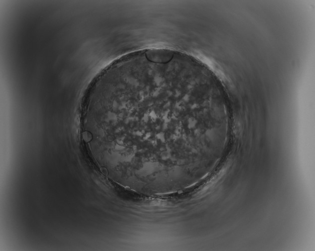 X0000094821263200711161520