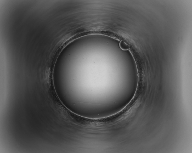 X0000094821265200711161520