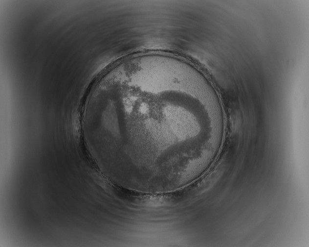 X0000094821266200711161520
