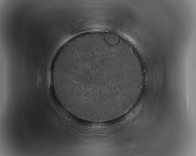 X0000094821267200711161520